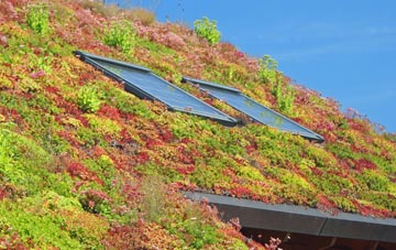 Cabbage Hill living roof systems